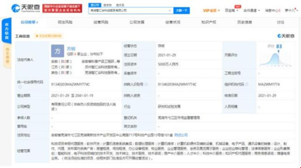 科大訊飛蕪湖設立新公司，拓展科技與房產中介服務